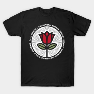 Tulip Calvin. Five points. T-Shirt